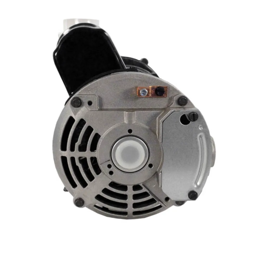 Gecko Aqua-Flo XP2 1.5 HP Spa Pump 2 Speed 48Y 115V 06115000-1040